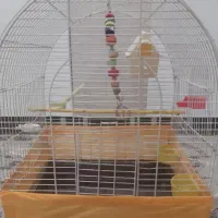 قفس پرنده