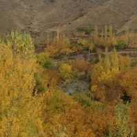 معاوضه با اوشان