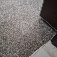 پالاز موکت