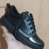 کفش کتونی ونس