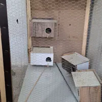 قفس پرنده