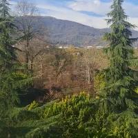 ۲۰۰ متر زمین کاربری مسکونی داخل شهرک بنفیت ۲