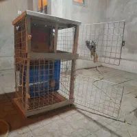 فروش جفت کن کفتر
