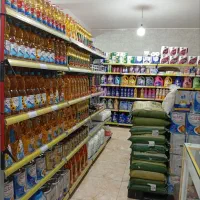 روغن دولتی
