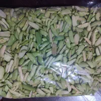 باقالی بار دیروز