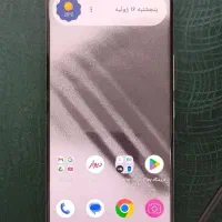 داریا باند dariya bond