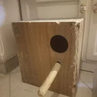 لونه ملنگو گرینچیک پرنده و طوطی و استند چوبی پرنده
