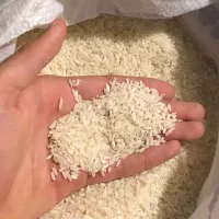 برنج سرلاشه هاشمی