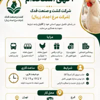 نیروی کار مرغداری