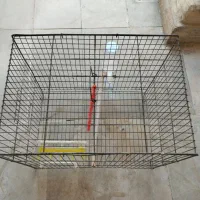 قفس