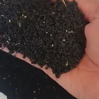 بذر پیاز قرمز درجه یک تازه