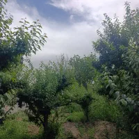 باغچه چهاردیوار شهریار باغستان دهمویز