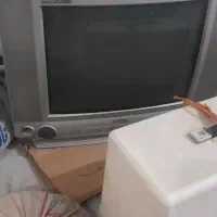 تلوزیون