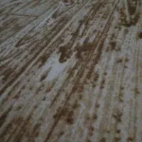 موکت سالم و تمیز