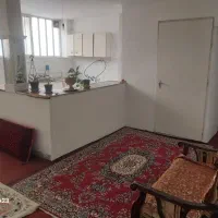 سوئیت