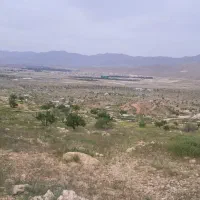 زمین،باغ شهری کوار