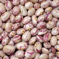 لوبیا چیتی