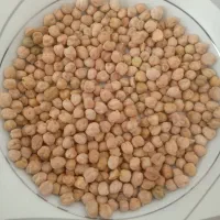 نخود زود پخت