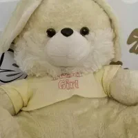 عروسک خرسی زیبا و شیک
