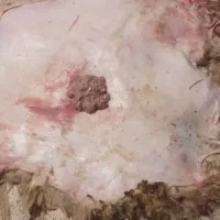 فروش پوست گوسفند