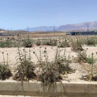 زمین درب از حیاط ۲۶ هکتاری صدرا فاز دو