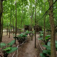 جایی که حال خوب جریان دارد