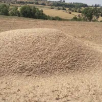 گاو دانه و کاه گاودانه