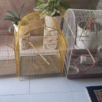 قفس پرنده