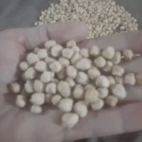 نخود