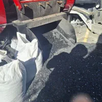 کارگر ساده آقا