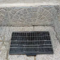 قفس