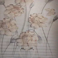 پرده زبرا دو مکانیزه استر دار عرض۱۵۰ طول ۲