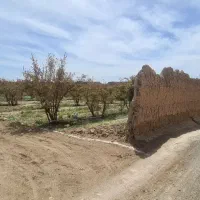 زمین-باغ-مناسب-ویلا-450-متر-تخفیف