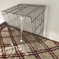 قفس پرنده