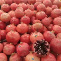 نیرو  جوان برای میوه فروشی