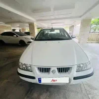 سمند بی رنگ تک برگ