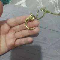 پلاک پنتر نو وکارنکرده