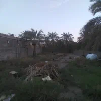فروش زمین