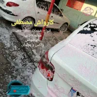 نیروی کارواش