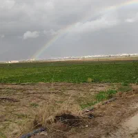 زمین مشاع فاز3صدرا