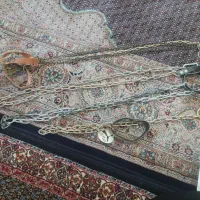 قلاده سگ جنوره