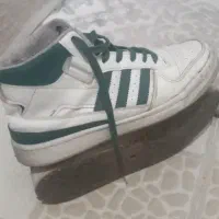 کتانی اورجینال خارجی سایز ۴۳