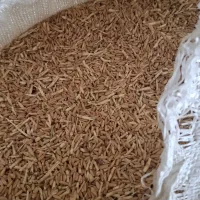 گندم دیم|عمده‌فروشی|ملایر, |دیوار