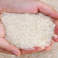 برنج هاشمی گیلان صومعه سرا درجه۱