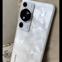 p60pro