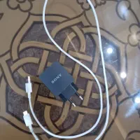 شارژر سونی اصلی تای پیسی سالم