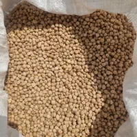 نخود آبگوشتی