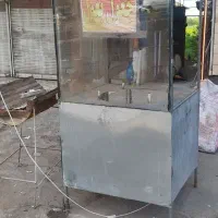 ‌جغول بغول واویشکا
