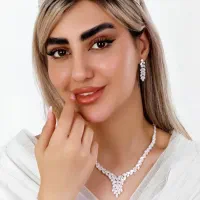 سرویس مجلسی