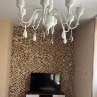 فروش دو‌عدد لوستر بزرگ